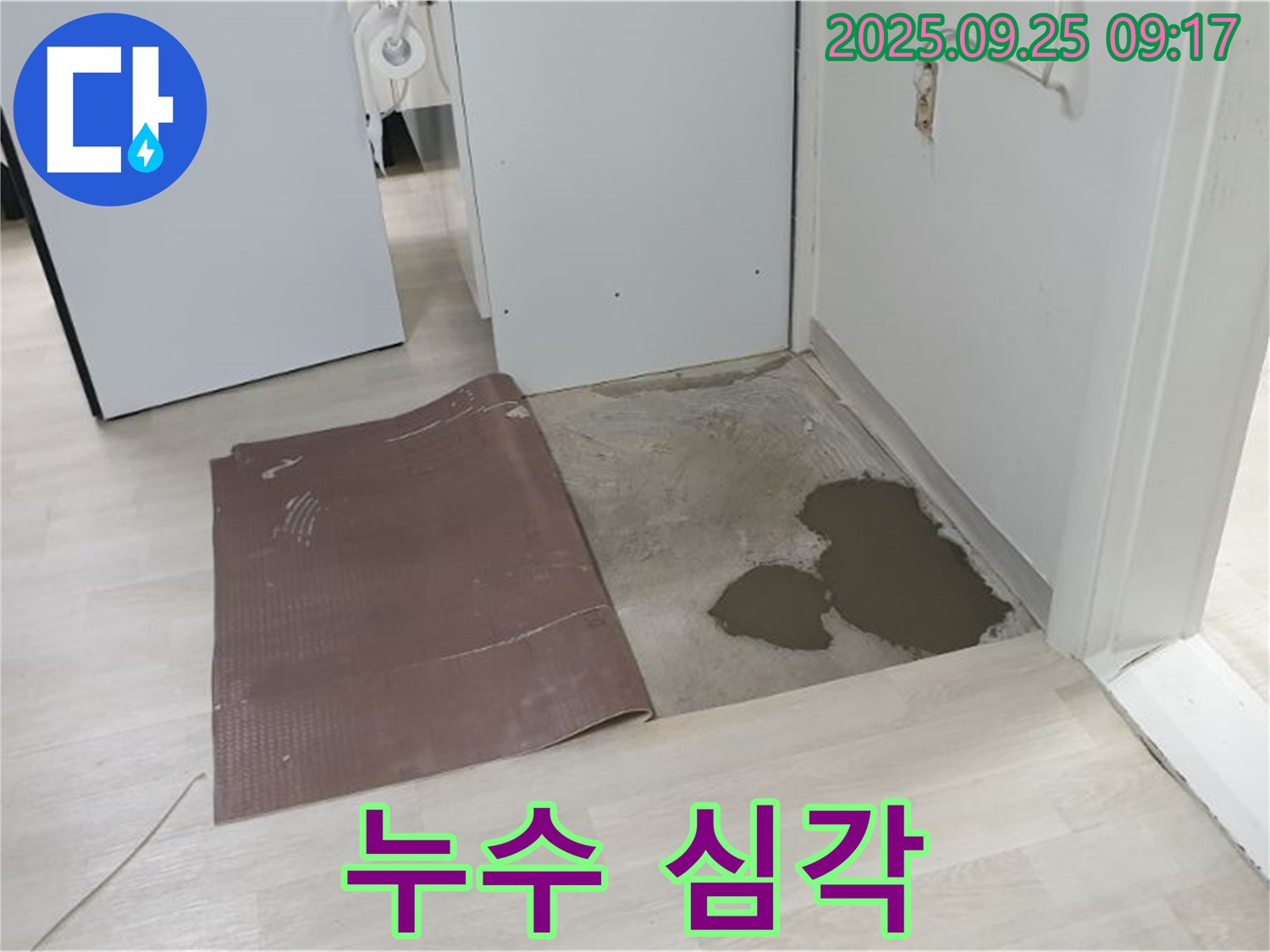 양주시 백석읍 연곡리 누수 - 장판을 뜯어보니 누수가 심각한 상태