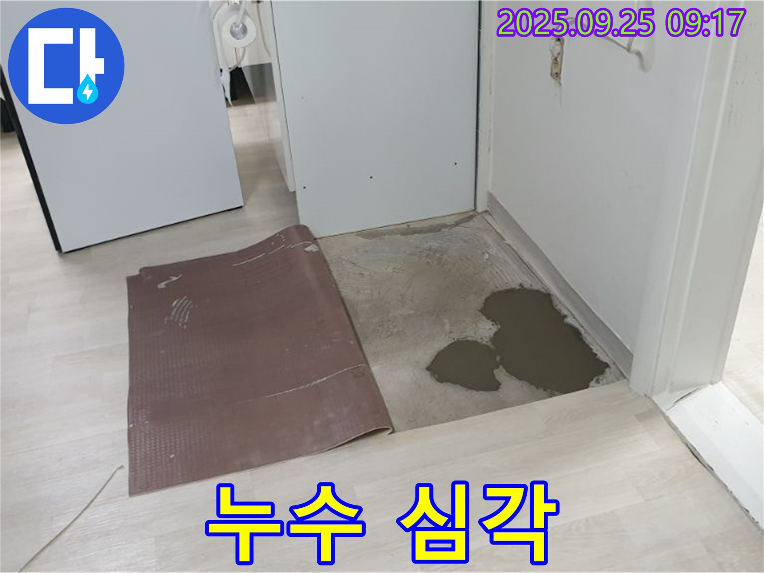 양주시 백석읍 연곡리 누수 - 장판을 뜯어보니 누수가 심각한 상태