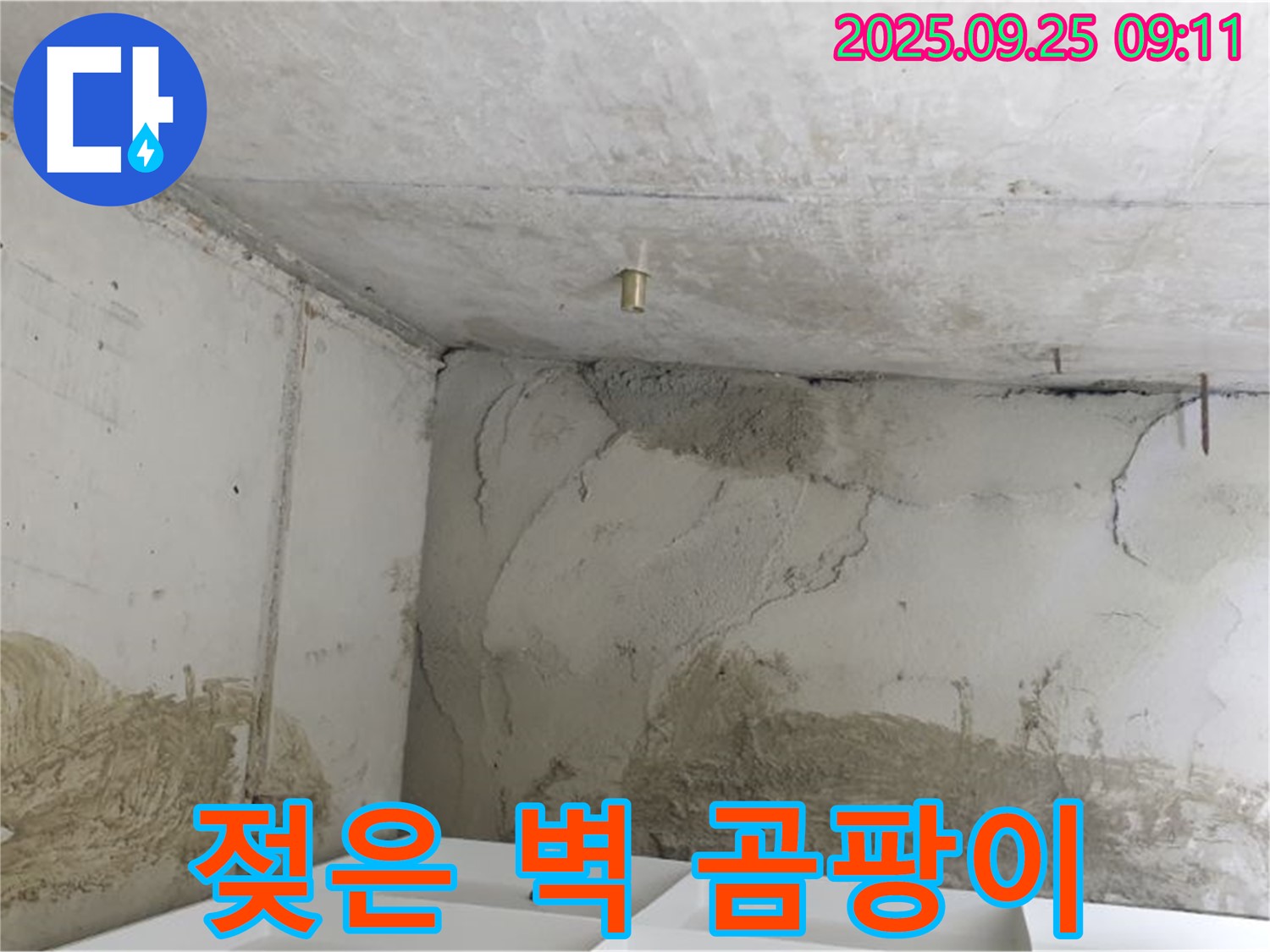 양주시 백석읍 연곡리 누수 - 젖어버린 벽 - 곰팡이 습격