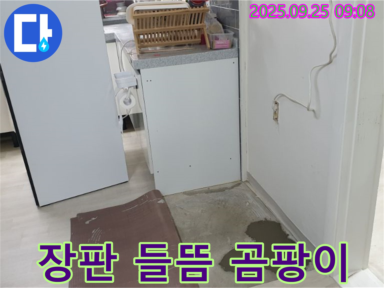 양주시 백석읍 연곡리 누수 현장 - 장판이 들뜨고 곰팡이가 발생했습니다. 즉시 점검이 필요합니다.
