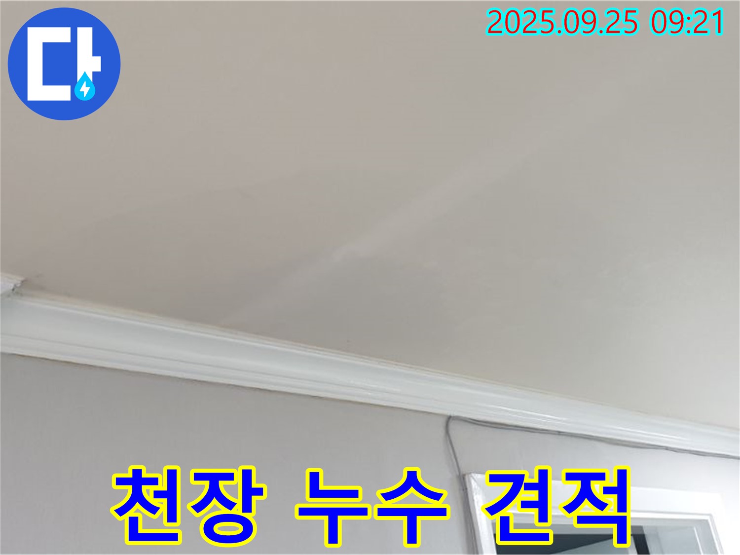 양주시 백석읍 연곡리 천장 누수 견적 - 합리적인 비용으로 누수를 해결하세요.