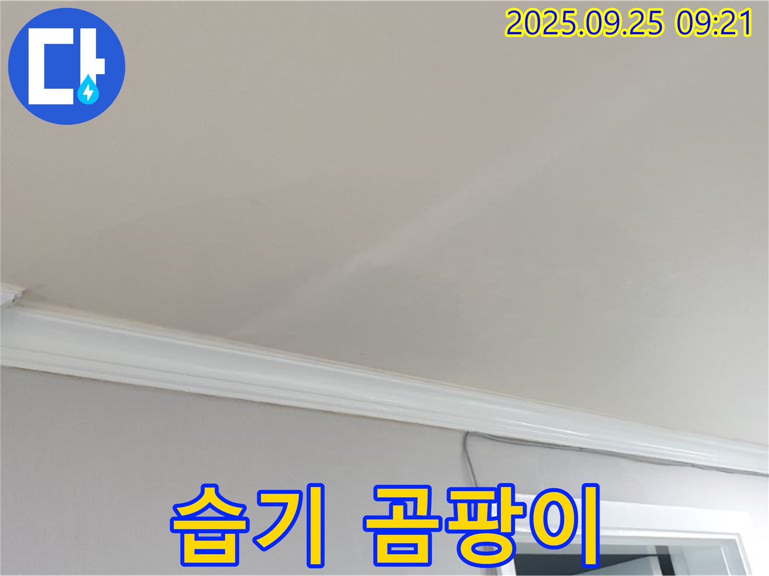 양주시 백석읍 연곡리 - 천장에 습기가 있다면, 곰팡이 발생의 전조 증상일 수 있습니다.