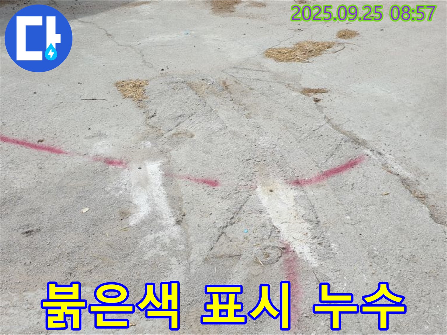 붉은색 표시 주변 누수 의심 - 양주 백석 복지리 누수 탐지 현장