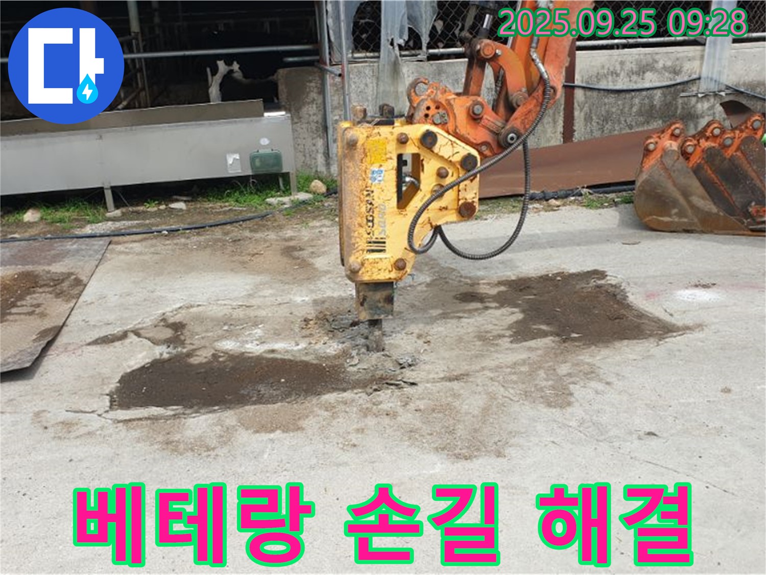 양주 백석읍 복지리 누수 - 베테랑의 손길로 완벽하게 해결