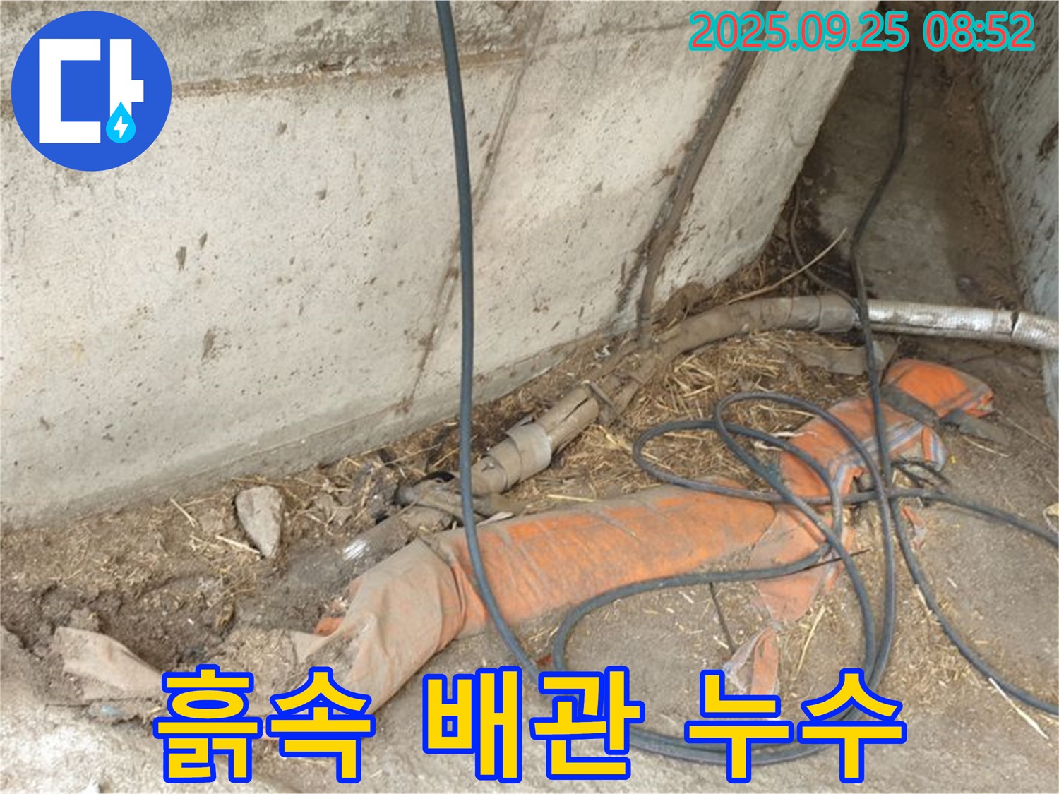 양주 백석읍 복지리 흙속 배관 누수 - 흙속에 파묻힌 배관에서 누수 흔적 발견!
