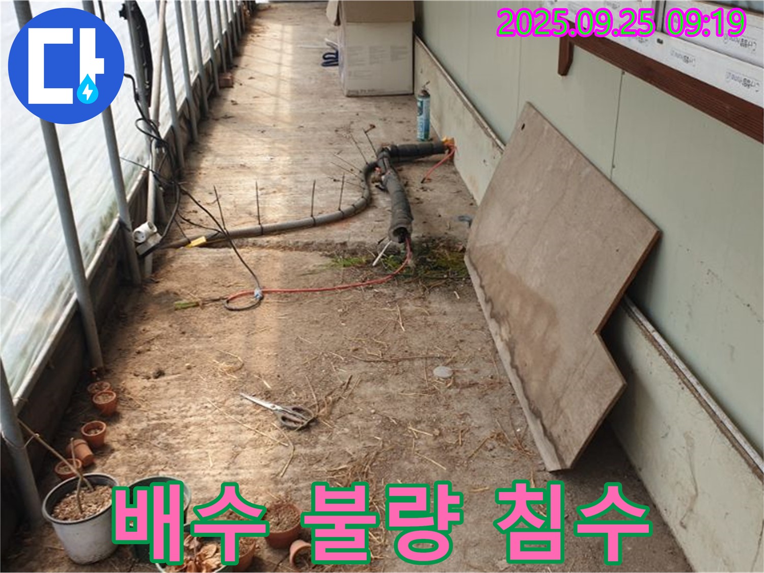 양주시 백석읍 복지리 - 농업용 하우스 누수, 배수 불량으로 인한 침수 피해