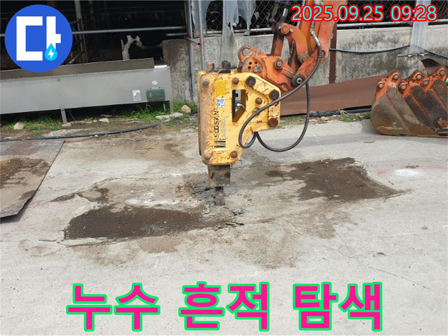 양주시 백석읍 복지리 누수 - 콘크리트 파쇄, 숨겨진 누수 흔적 찾기
