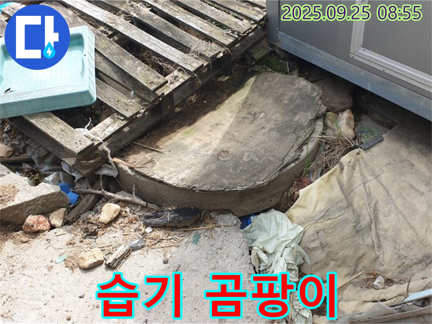 양주시 백석읍 복지리 누수 - 폐자재 밑 습기 곰팡이 서식