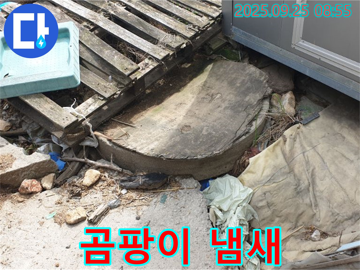 양주시 백석읍 복지리 누수 - 폐자재 속 곰팡이 냄새 건강
