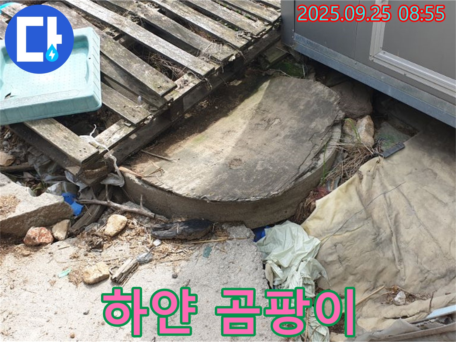 양주시 백석읍 복지리 누수 - 폐자재 속 하얀 곰팡이 알레르기 유발