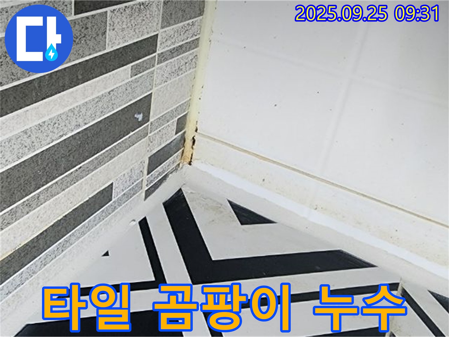 양주시 백석 - 욕실 타일 틈새에 곰팡이가 심하게 핀 모습 - 곰팡이 제거가 시급한 상황