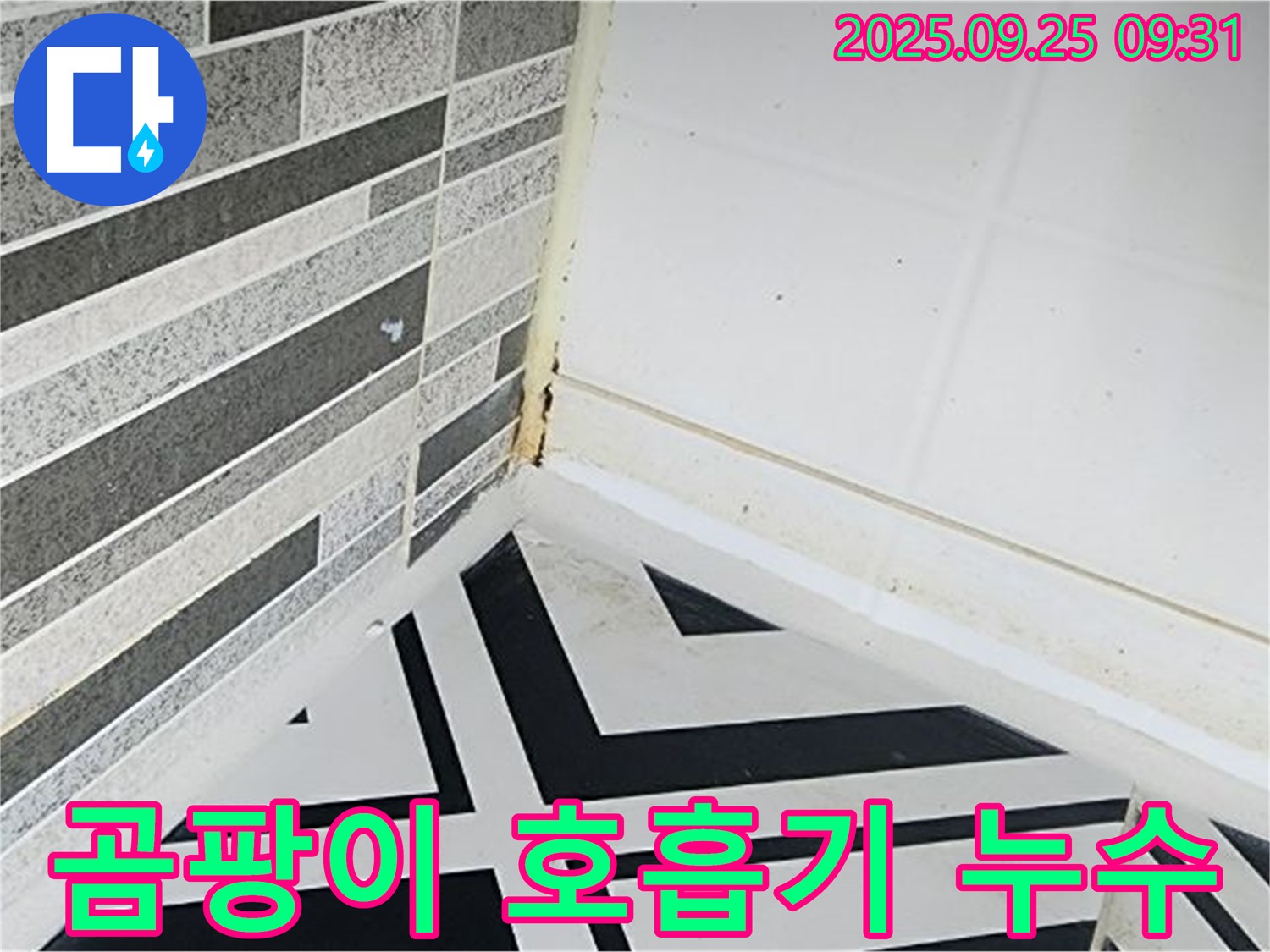 양주시 백석읍 오산리 - 곰팡이가 가득한 욕실 - 호흡기 질환 유발 가능성 경고