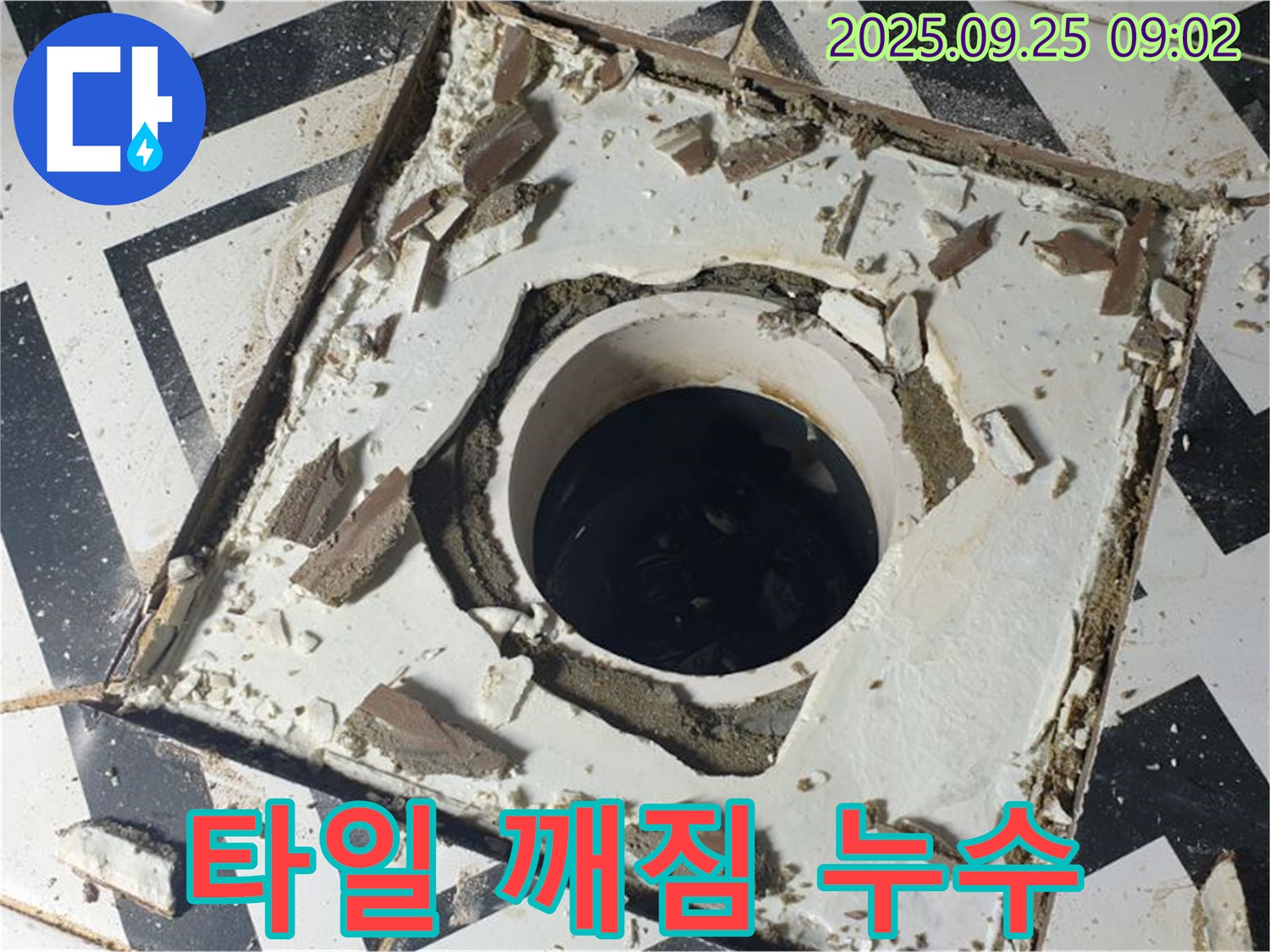 양주시 백석읍 오산리 누수 현장 - 깨진 타일 주변으로 누수 흔적 발견