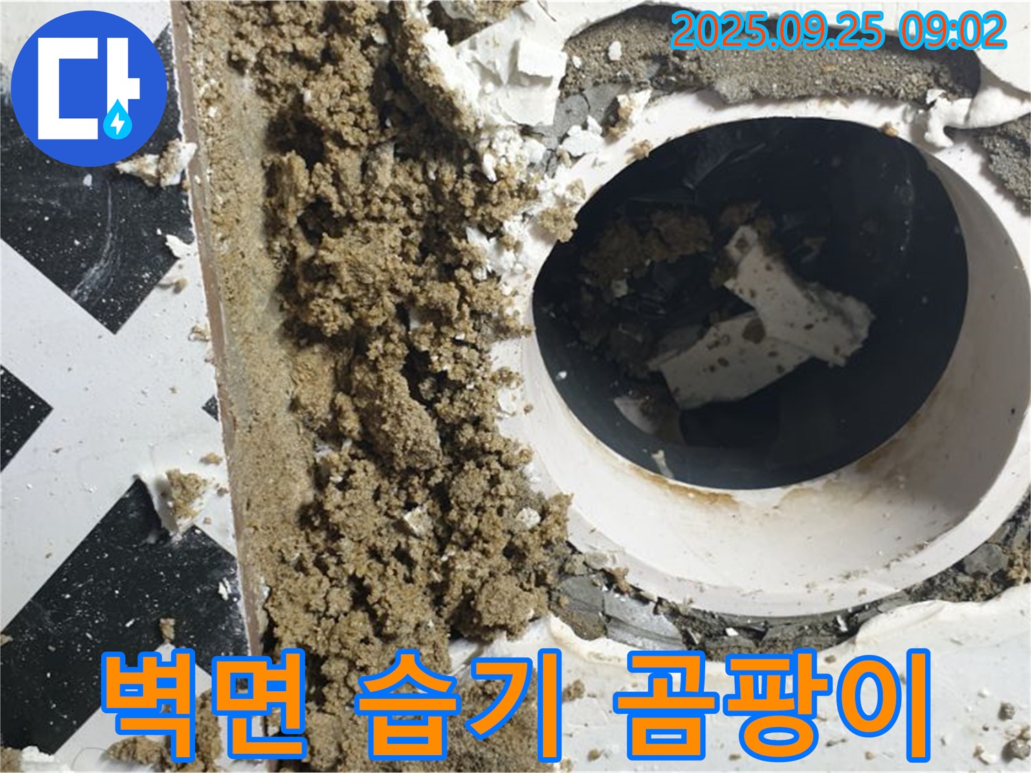 양주시 백석읍 오산리 누수 현장 - 누수 부위 주변 벽면 습기 및 곰팡이 발생.