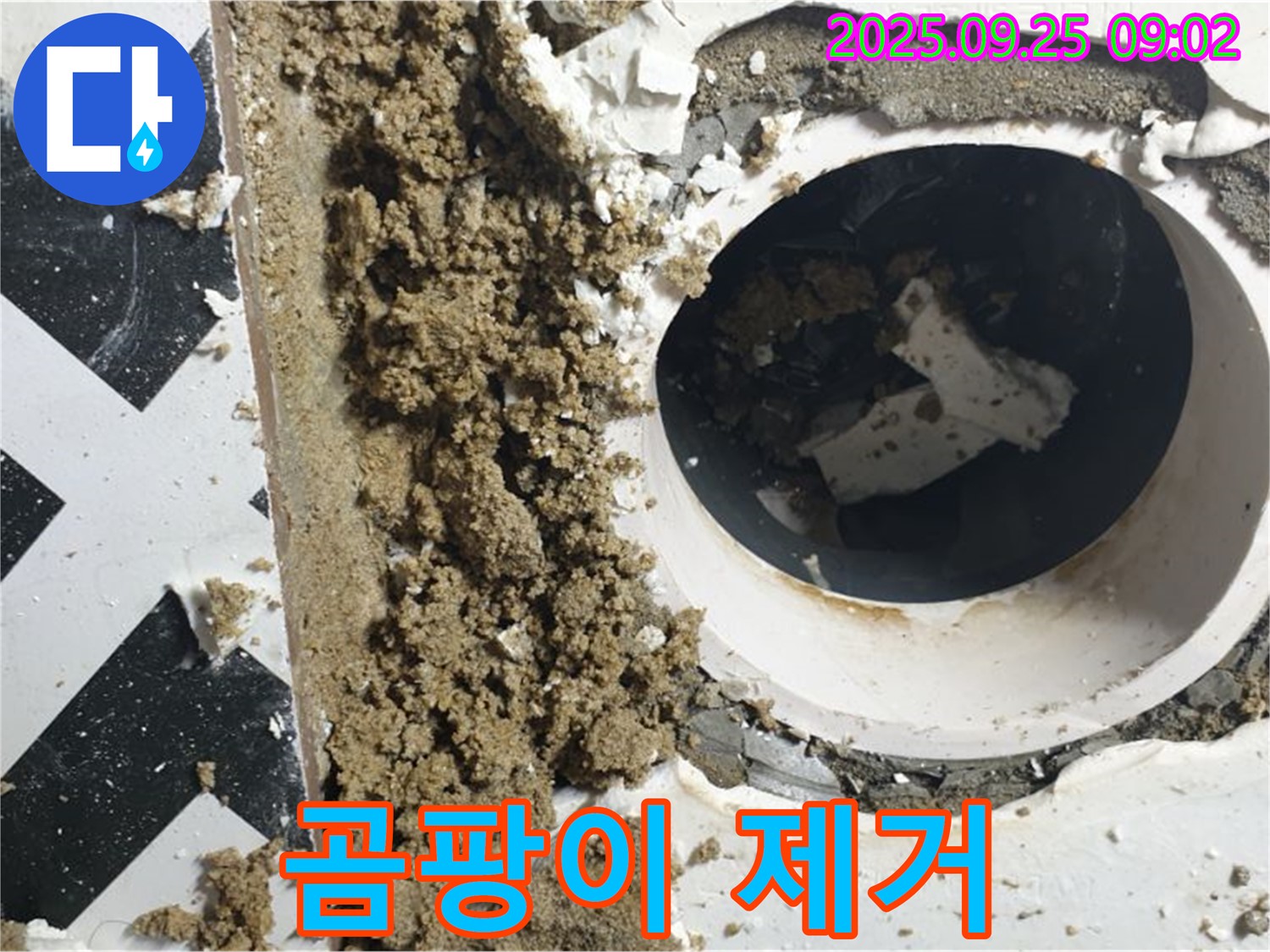 양주시 백석읍 오산리 누수 현장 - 누수 부위 주변 벽지 곰팡이 제거 작업 진행.