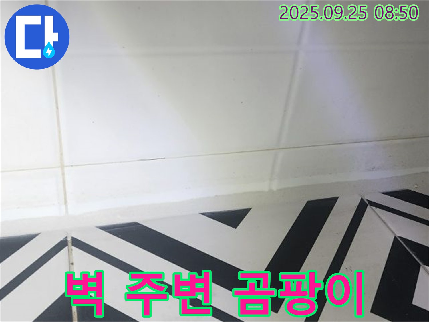양주시 백석읍 오산리 벽 주변 곰팡이 - 누수 초기 확인 및 제거
