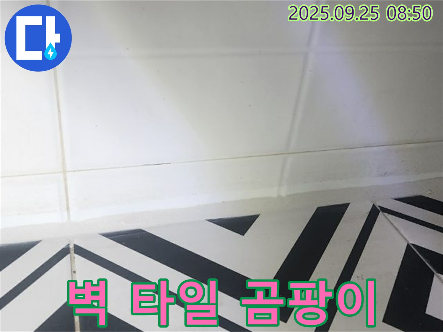 양주시 백석읍 오산리 벽 타일 곰팡이 누수 - 꼼꼼한 탐지와 확실한 공사로 누수 문제 해결