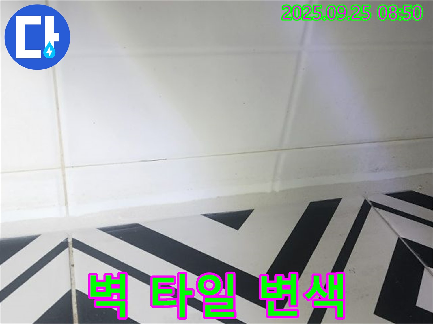 양주시 백석읍 오산리 벽 타일 변색 - 누수 초기 증상, 꼼꼼 점검