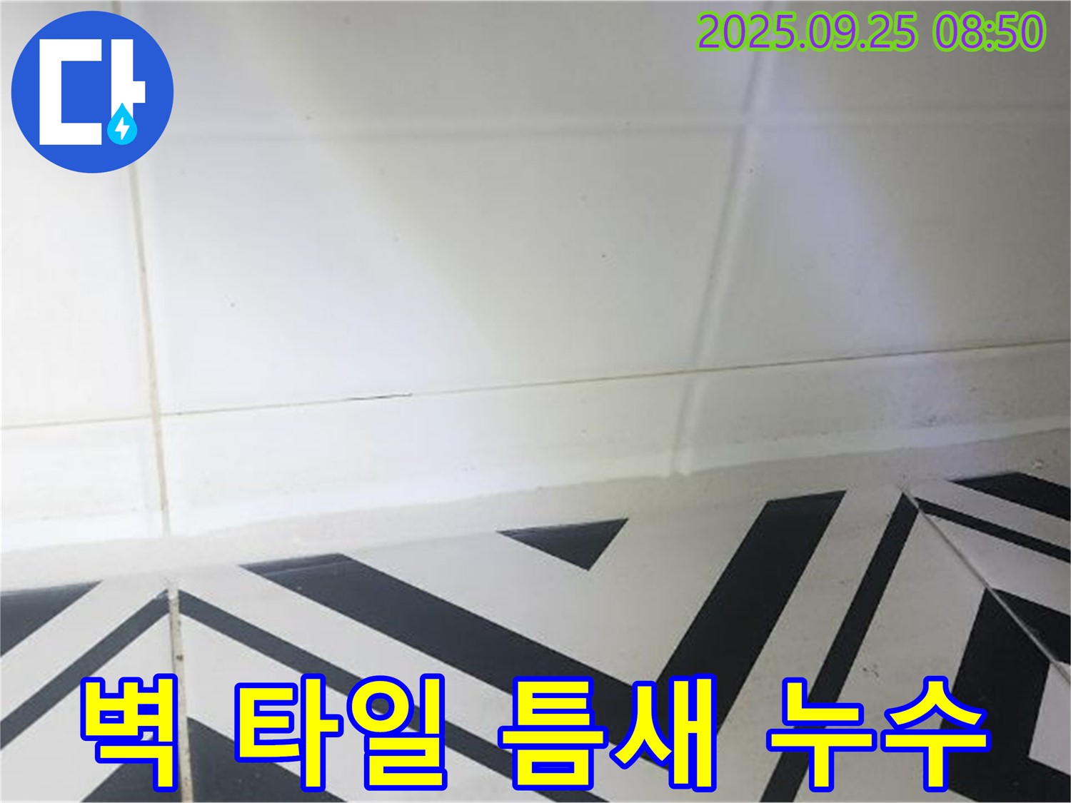 양주시 백석읍 오산리 벽 타일 틈새 누수 - 누수탐지부터 완벽 차단까지!