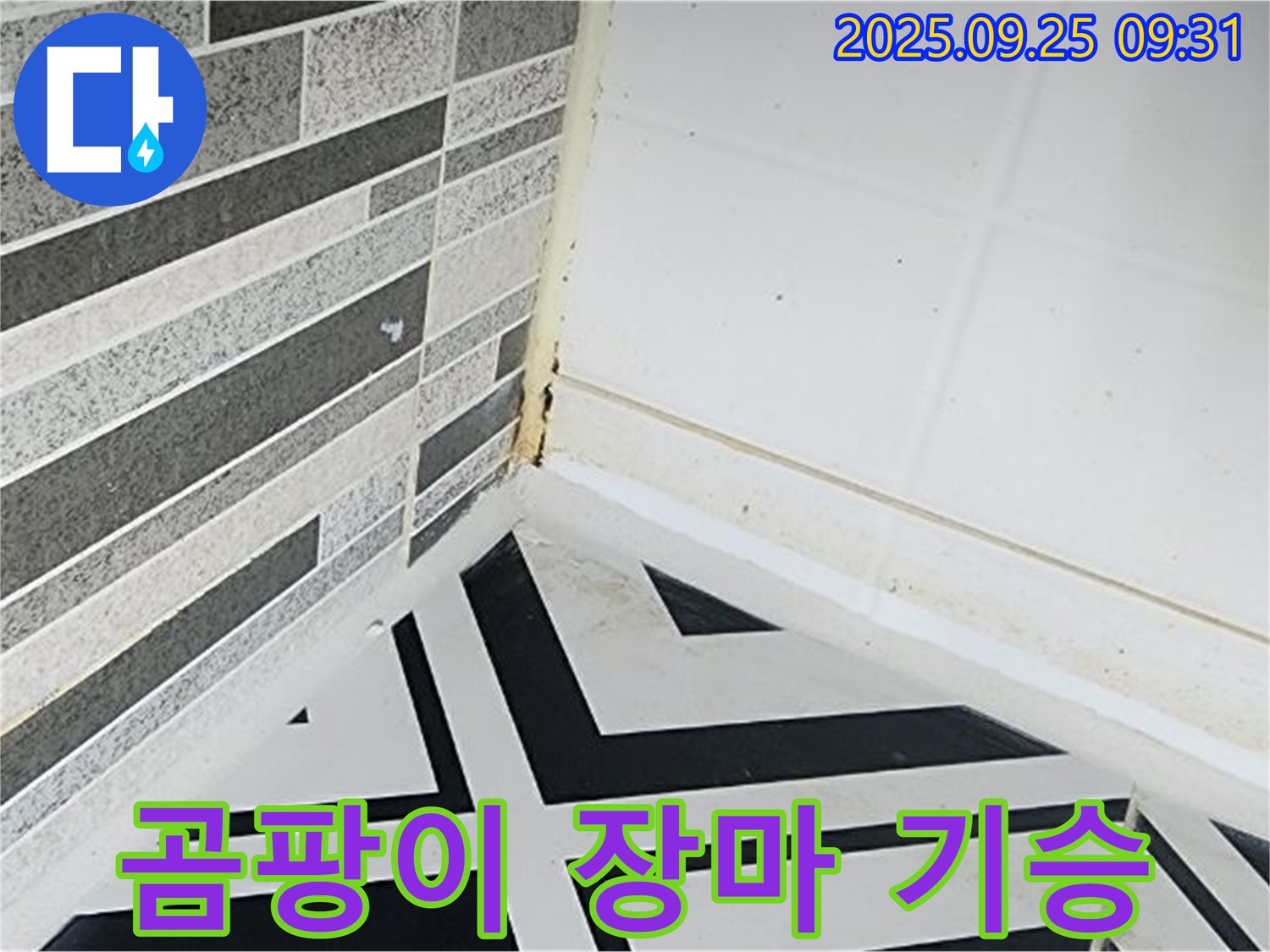 양주시 백석읍 오산리 - 장마철 습한 환경에서 곰팡이가 번식하는 모습 - 여름철 곰팡이 문제 심각성