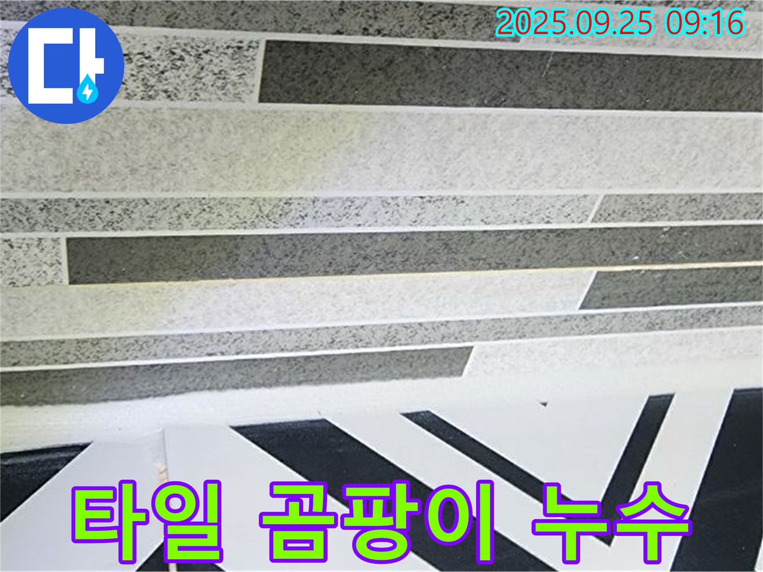 양주시 백석읍 타일 곰팡이 누수 - 곰팡이와 함께 찾아온 누수, 원인부터 해결까지 책임 시공합니다.