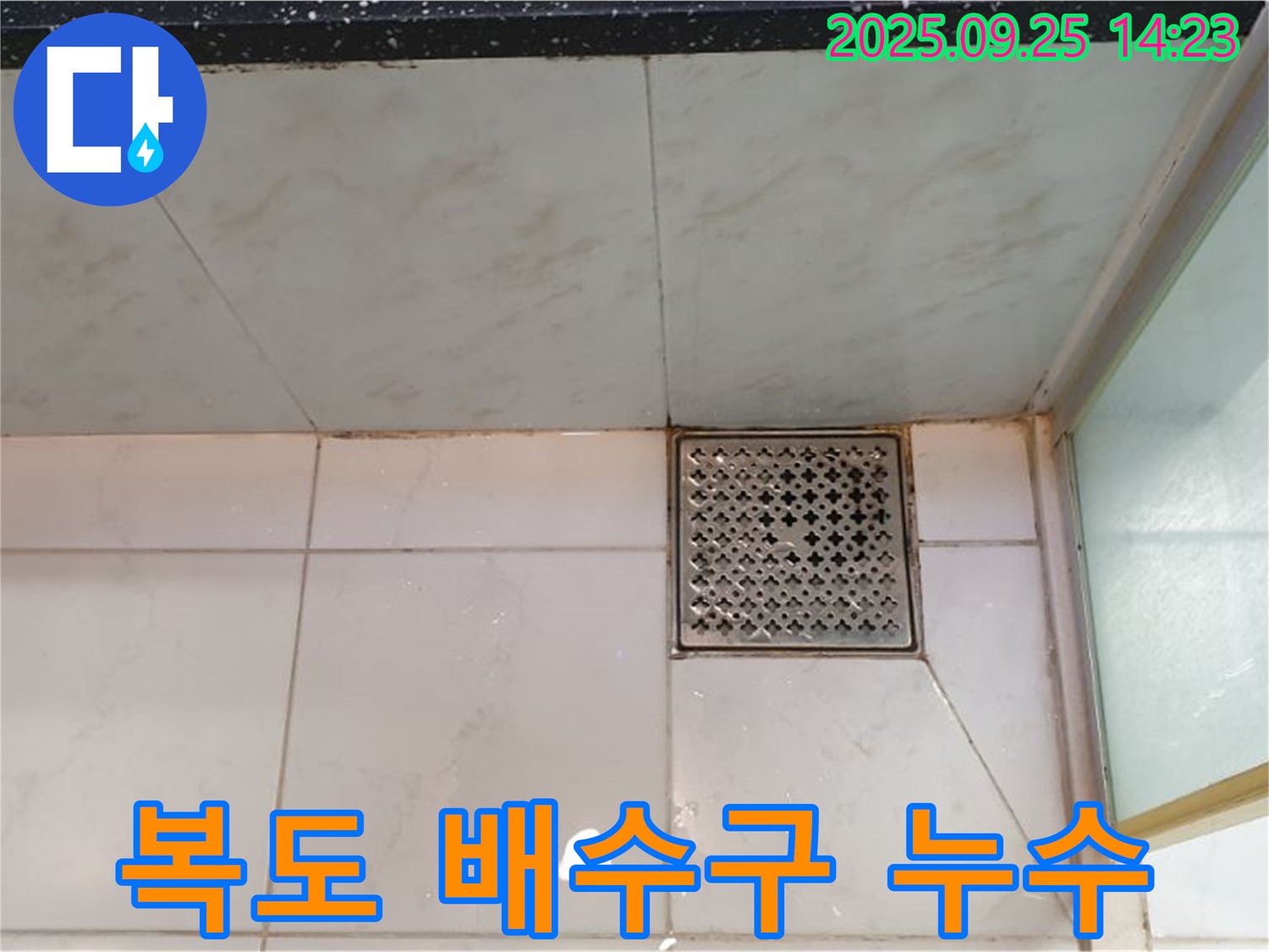 복도 배수구 주변 누수 - 배관 노후 및 연결부 손상으로 인한 누수 해결 과정
