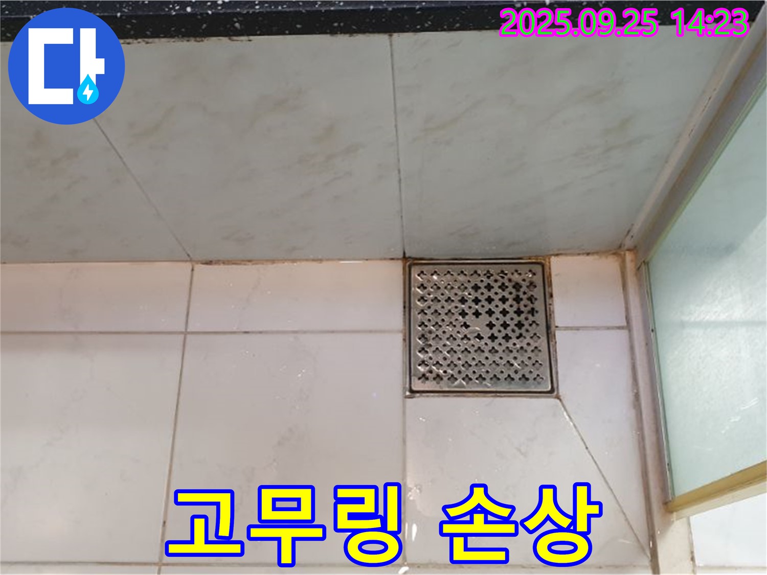 샤워기 호스 연결 부위 고무링 손상 - 새 고무링으로 교체