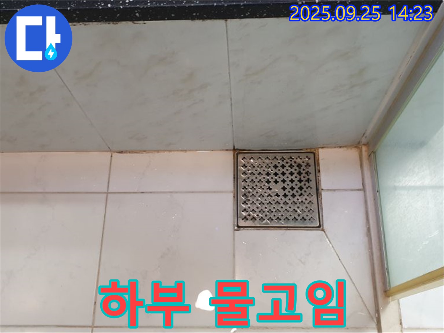 샤워부스 하부 물고임 - 배수 상태 점검