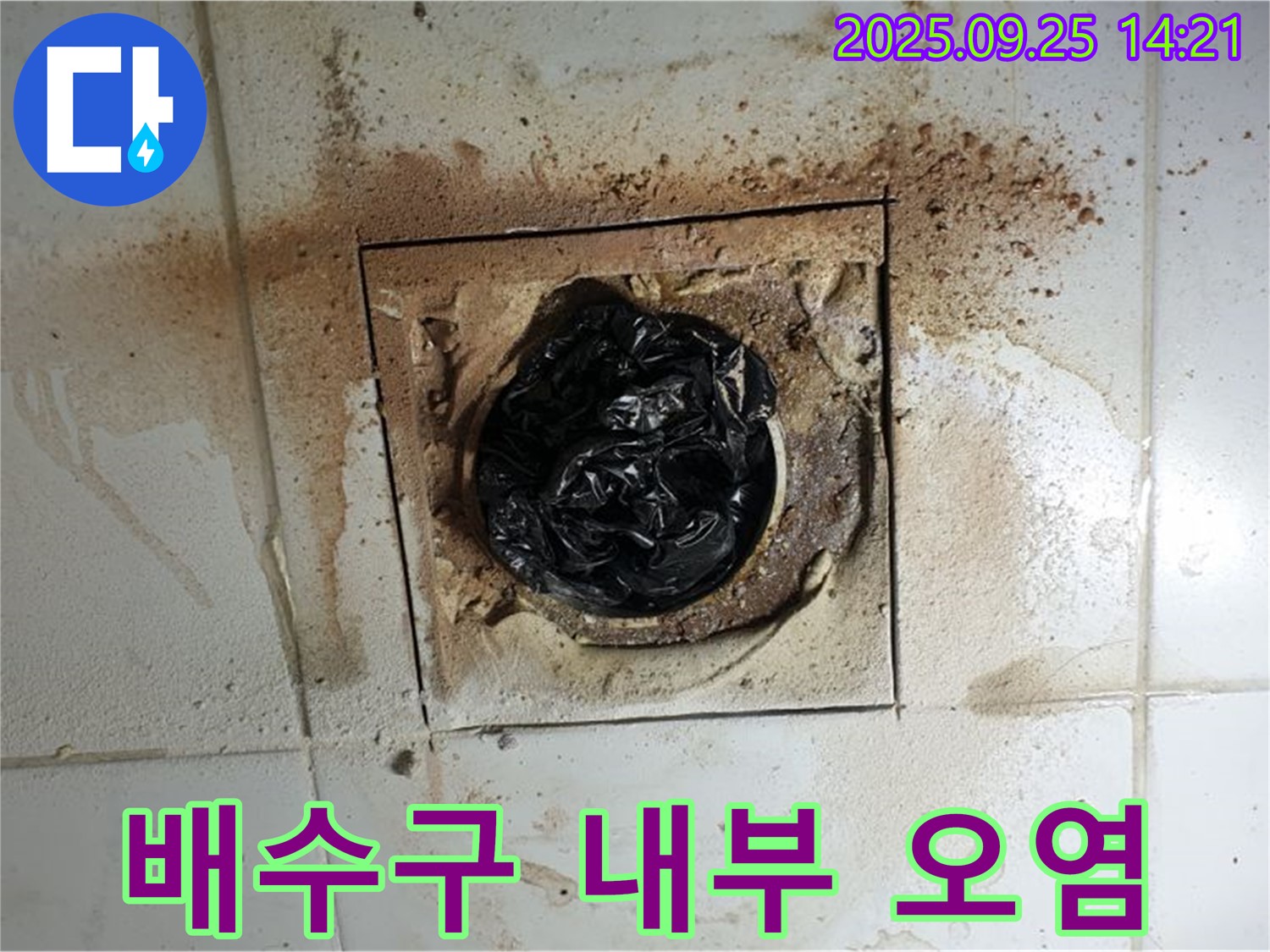 의정부 누수 - 배수구 내부 오염, 베테랑 전문가의 손길