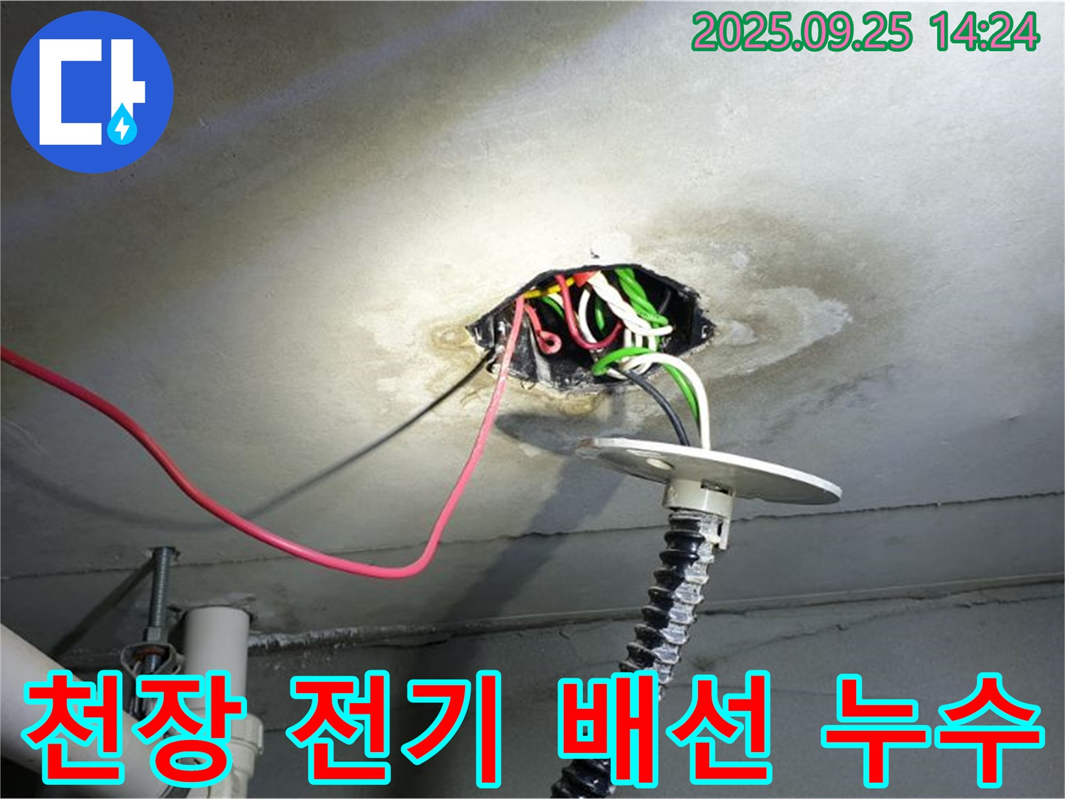 의정부1동 주택 천장 누수 - 전기 배선 주변 누수 해결 과정