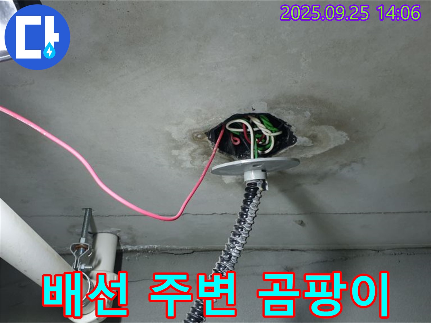 의정부시 의정부1동 천장 누수 - 전기 배선 주변에서 곰팡이를 발견, 누수 의심