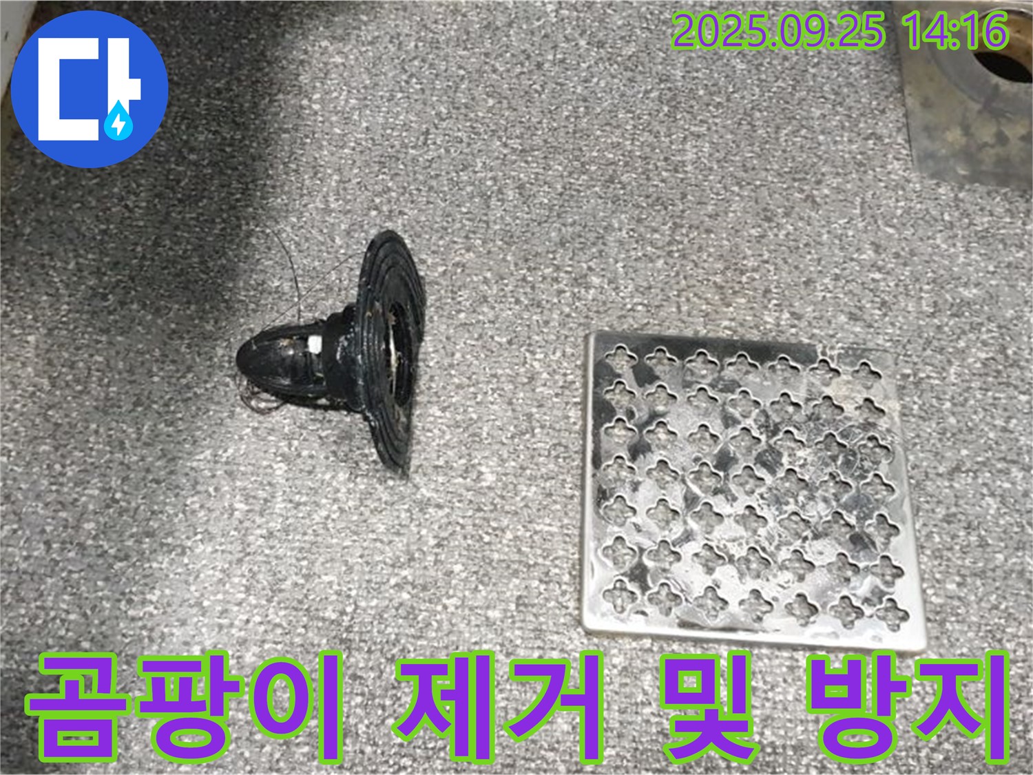 의정부2동 곰팡이 제거 및 방지 - 깨끗하고 쾌적하게!