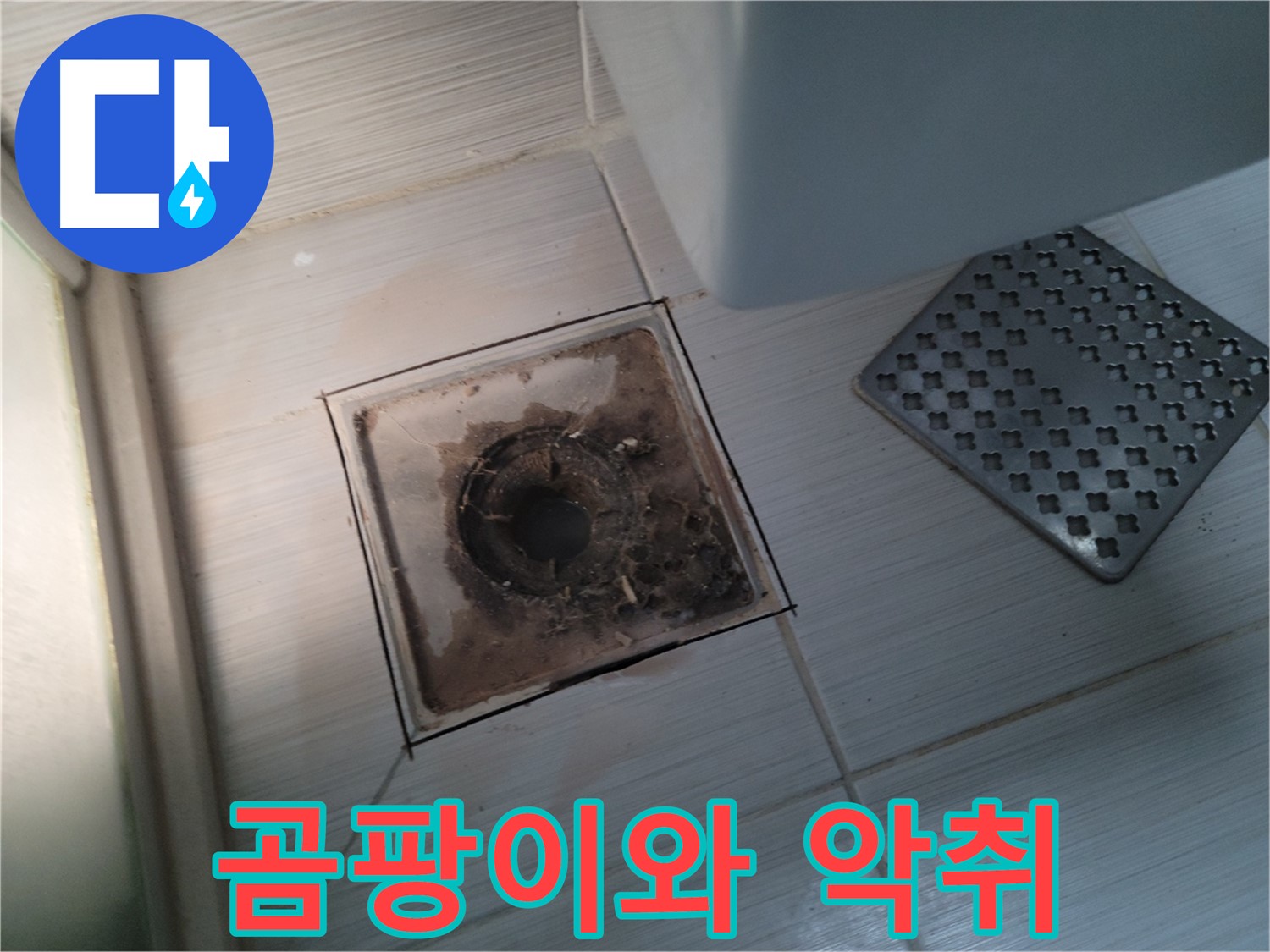 곰팡이 - 악취 - 욕실 누수 - 원인 진단