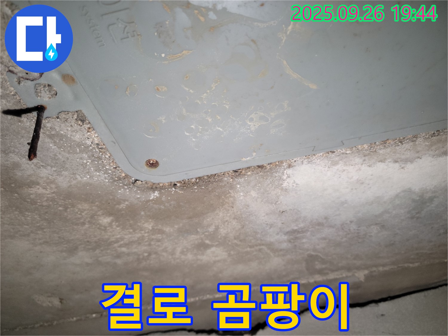 동두천 누수 - 겨울철 결로, 곰팡이 상담