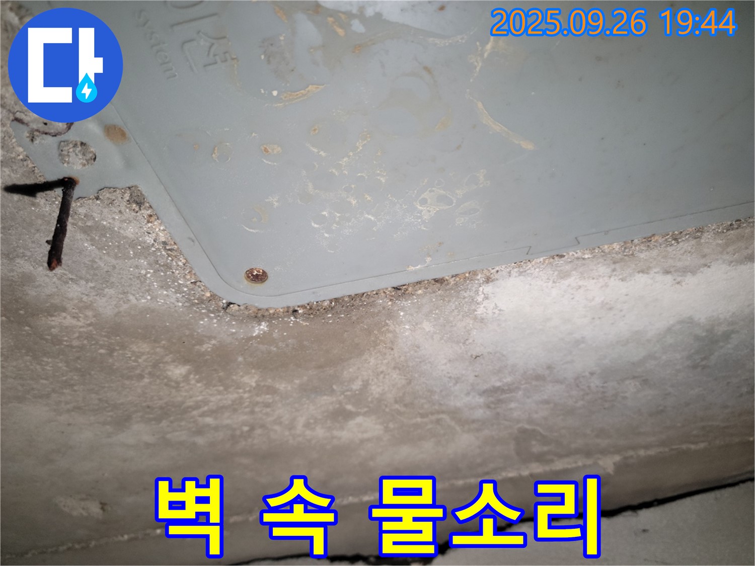 동두천 누수 - 벽 속 물소리, 누수 의심