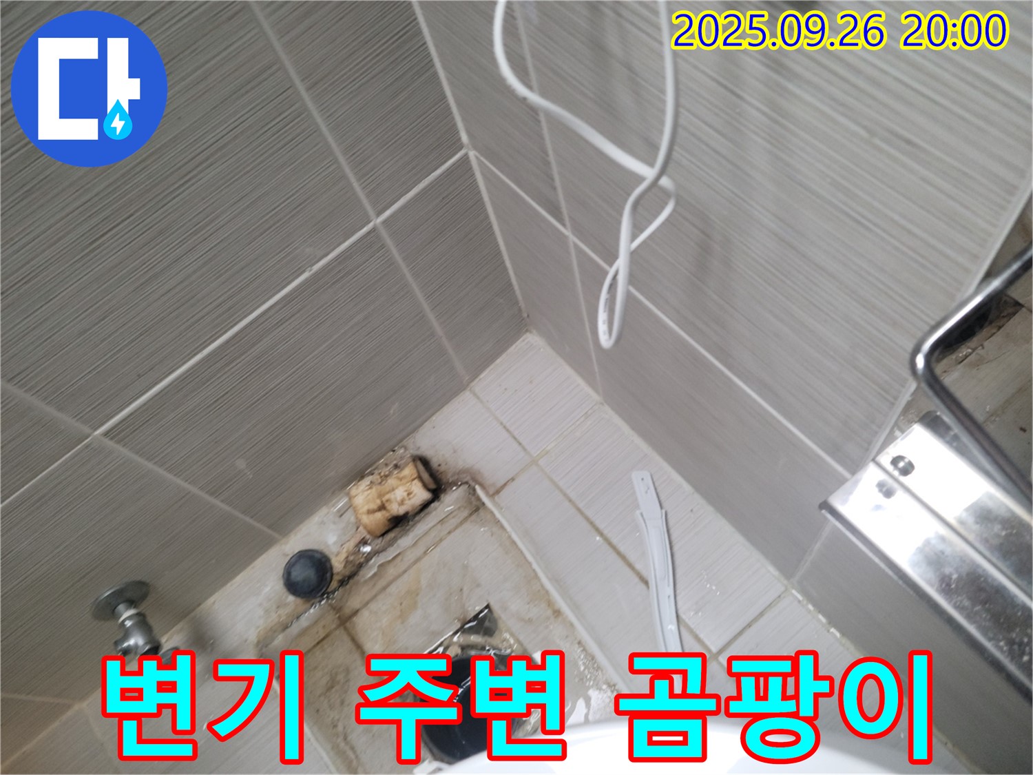 동두천 누수 - 변기 주변 곰팡이 확인 - 지속적인 습기