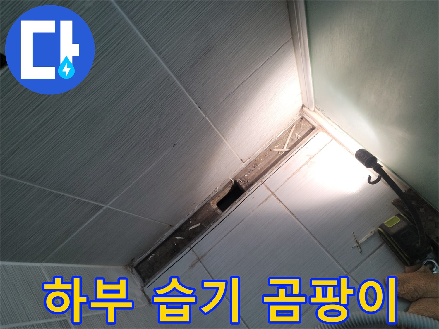 동두천 누수 - 욕조 하부 습기 및 곰팡이 발생 상태 확인