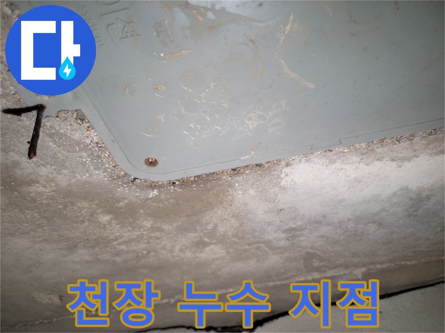 동두천 누수 - 천장 누수 지점 정밀 탐지 - 최신 장비 사용