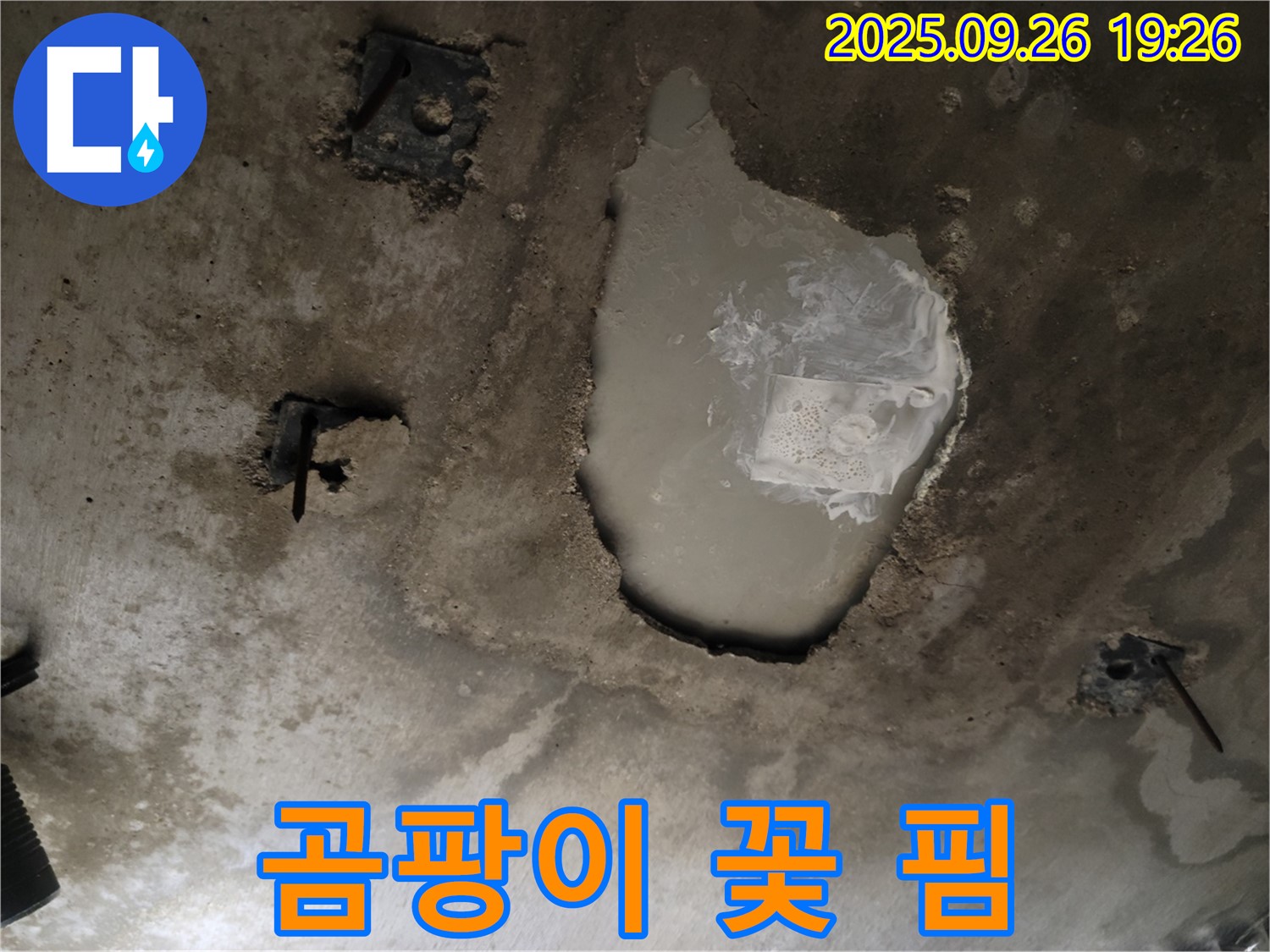동두천 동두천동 누수 현장 - 콘크리트 천장에 곰팡이 꽃 핌 - 건강 위협