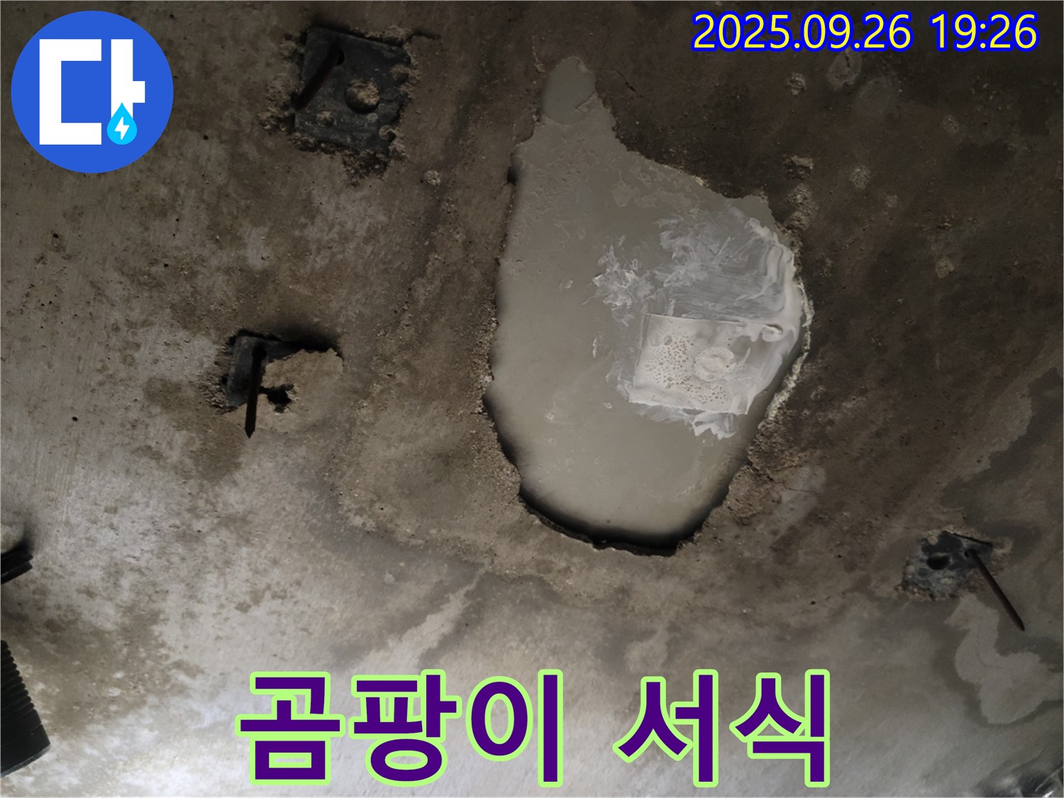 동두천 동두천동 누수 현장 - 콘크리트 천장의 곰팡이 서식 - 지속적인 누수