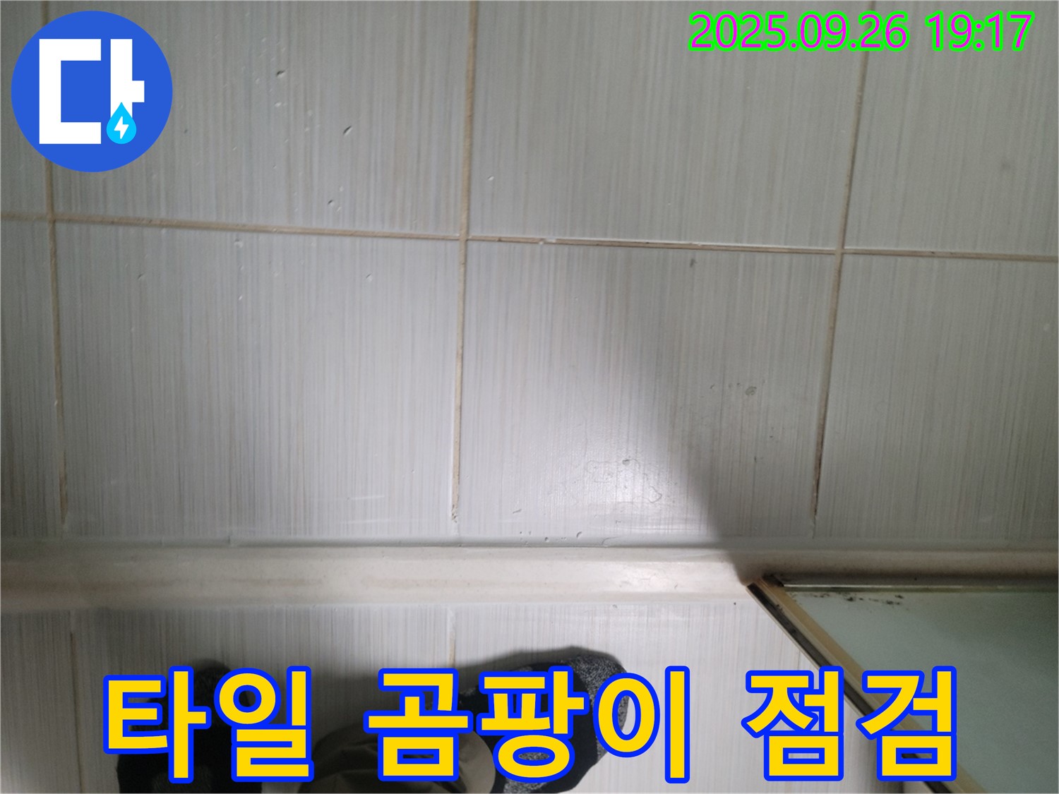 동두천 생연동 누수 - 최첨단 장비를 사용하여 타일 곰팡이 상태를 점검하고 있습니다.