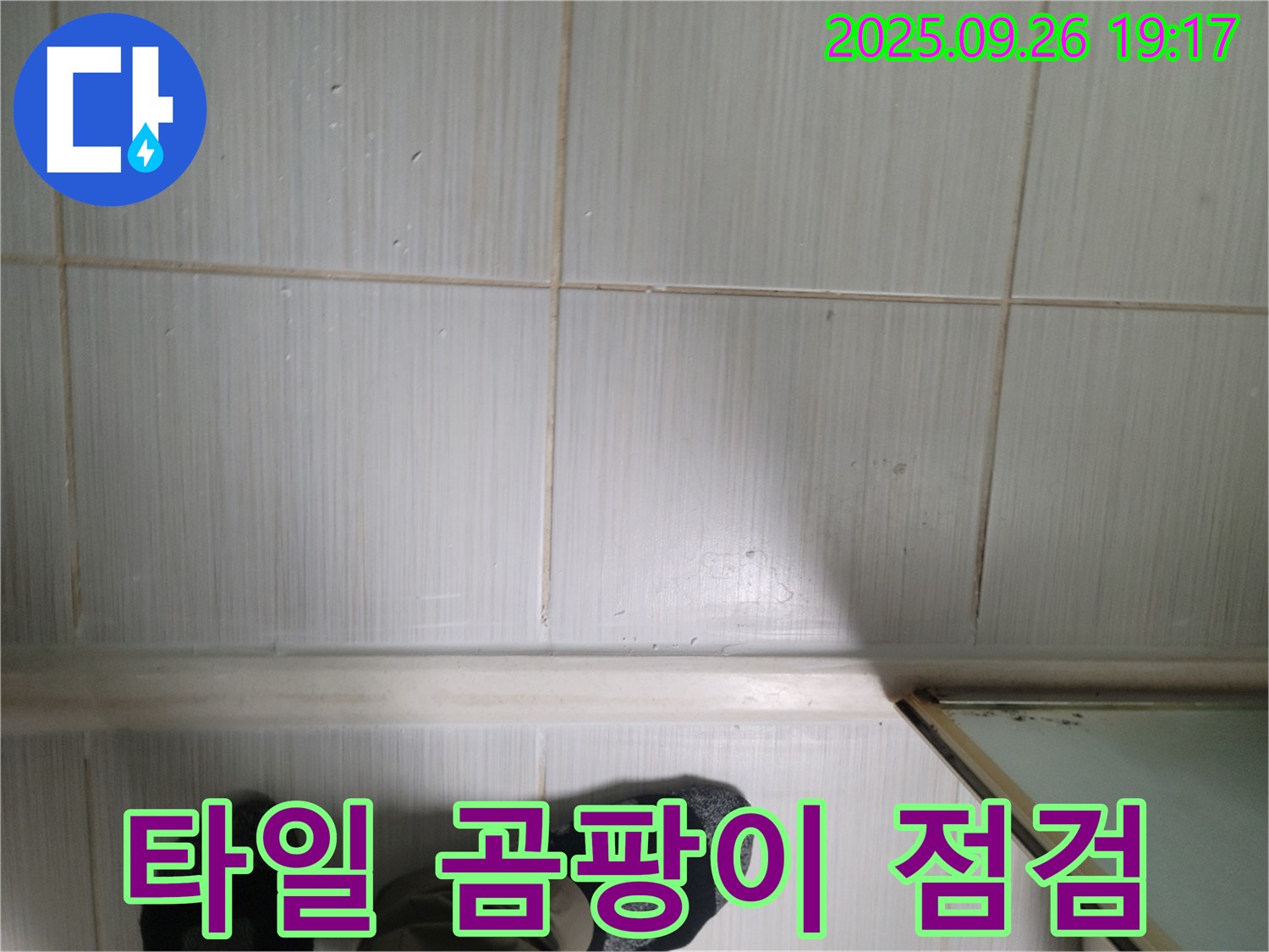 동두천 생연동 누수 - 타일 곰팡이 상태를 자세히 점검하고 있습니다.