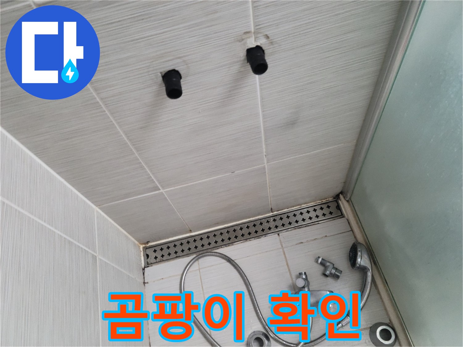 동두천 신창비바 - 샤워기 철거 후 배관 주변 곰팡이 확인