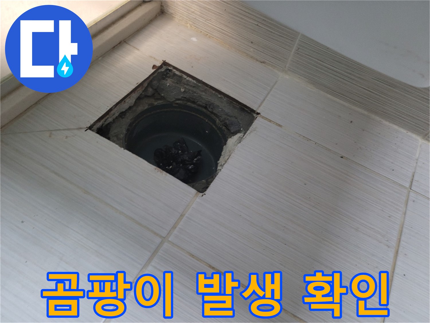 동두천 신창비바패밀리 욕실 누수 점검 - 곰팡이 발생 여부 확인