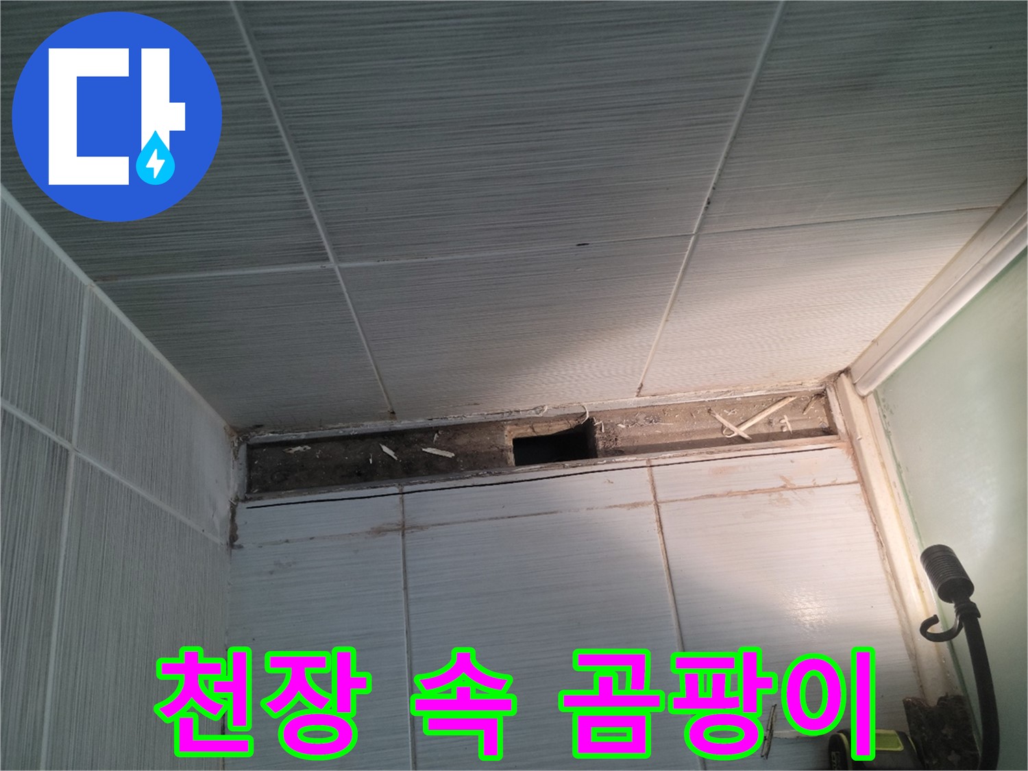 동두천 신창비바패밀리 욕실 천장 누수 - 천장 속 곰팡이 발견