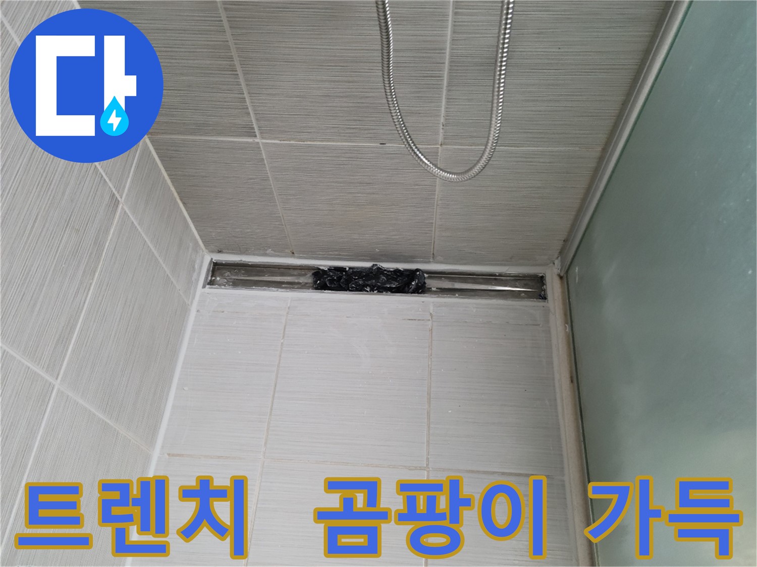 샤워부스 트렌치 - 곰팡이 가득! 누수 의심