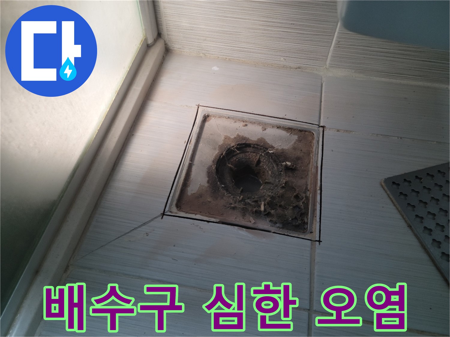 신창비바패밀리 욕실 배수구 - 심각한 오염으로 인한 문제 발생
