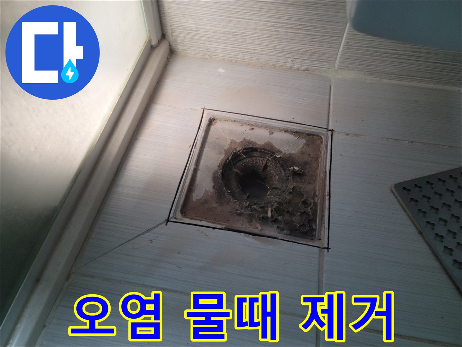 신창비바패밀리 욕실 배수구 주변 - 심각한 오염과 물때 제거 시급