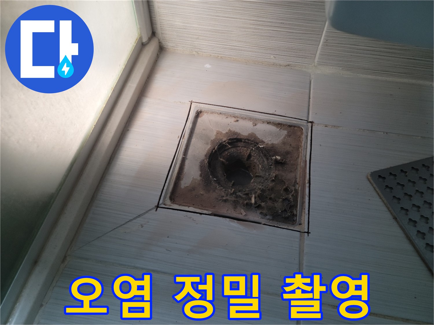 신창비바패밀리 욕실 배수구 주변 - 오염 상태 정밀 촬영 분석 중