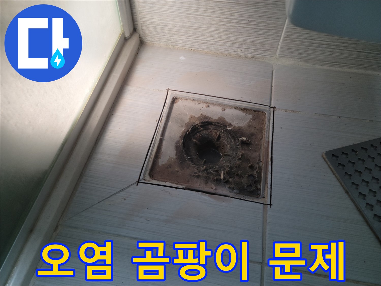 신창비바패밀리 욕실 배수구 주변 - 오염으로 인한 곰팡이 문제 발생
